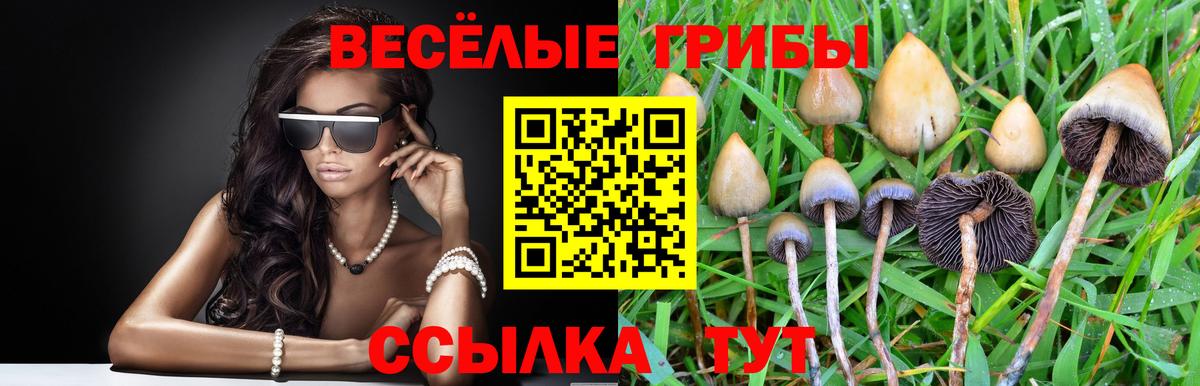 Псилоцибиновые грибы ЛСД  Псилоцибиновые грибы ЛСД  Мелеуз  Вход с VPN 